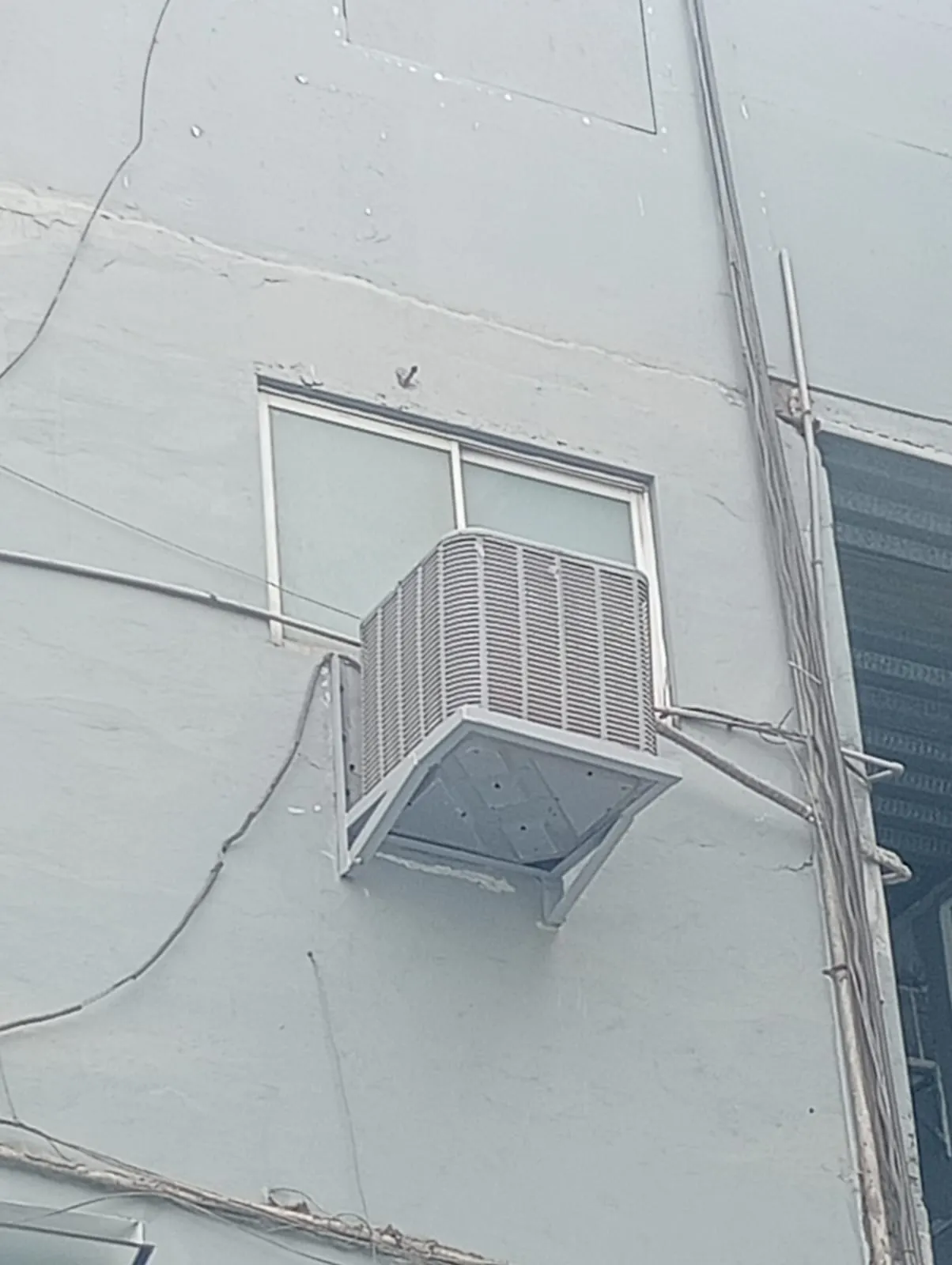 Galería 10