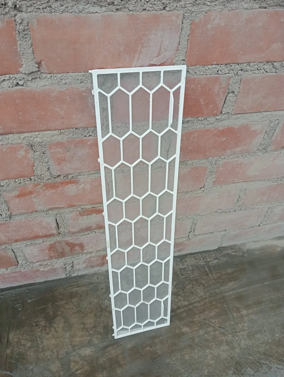 Galería 6